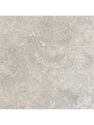 ��������������� ������ Porcelanite Dos Rapolano 1867 Grey (1000x1000) ��� ������ (��.�.)