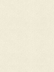 Обои виниловые на флизелине Rasch Gentle Elegance (1,06x10,05) моноколор, бежевые 959659 (рул.)