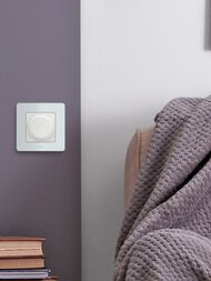 Рамка LEGRAND INSPIRIA 1 пост мятный 673935