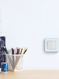 Выключатель LEGRAND INSPIRIA  2-клавишный 10 AX 250 В белый 673620