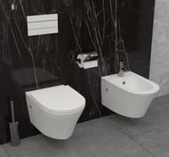 ���� ��������� Jacob Delafon RODIN+ EMJ0002-00 525�360�295 �������, ���. ��� ����., ���������, �����