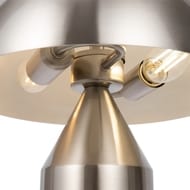 ���������� ���������� Freya Eleon (�����) FR5218TL-02N, IP 20, ������
