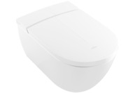 ������-���� Villeroy&Boch ViClean-I100 V0E1 00 R1 ���������, ������������, � �������� � �������