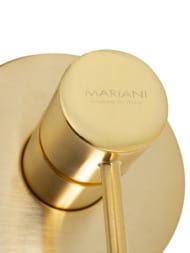 Смеситель для душа Mariani Next B22179NS, золото брашированное