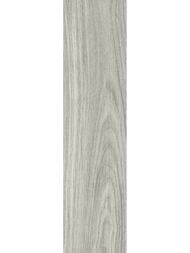 ��������������� ������ New Trend ����� (151x602) GP1560ASP25 (��.�)