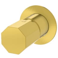Смеситель для душа Remer Ottagono ON30LDO, золото глянцевое
