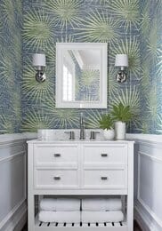 ���� ��������� �� ��������� Thibaut Tropics (0,69�8,22) ������� T10141 (�����)