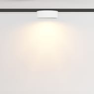 �������� ���������� Maytoni Zon (���) TR189-1-12W2.7K-BW Levity 2700� 12�� 100�, IP20, ������