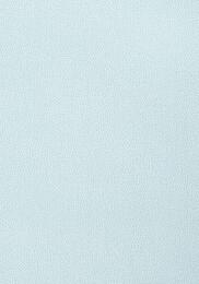 ���� ������������ Thibaut Paramount (0,69�8,22) ������� T2968 (�����)
