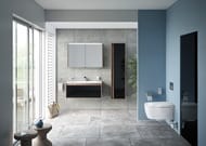 ������ ��������� Vitra V-Care Comfort � ��������,�������������. ����.,� �������� ���� 5674B003-6194