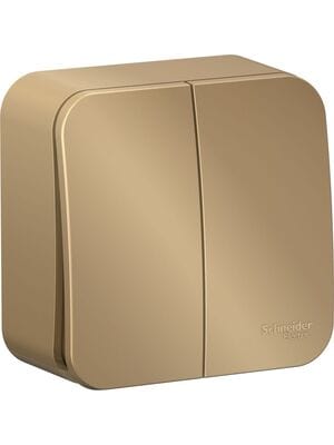 ����������� Systeme Electric BLANCA 2-��������� �������� (����� 5) 10A 250B ����� BLNVA105014