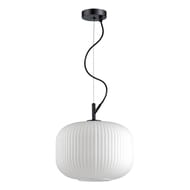 ��������� ���������� Odeon Light 4754/1, ������