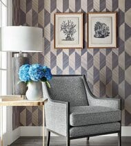 ���� ����������� �� ��������� Thibaut Modern Resource 2 (0,91�7,32) ���������� T10434 (�����)