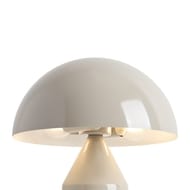���������� ���������� Freya Eleon (�����) FR5218TL-02CR, IP 20, ��������
