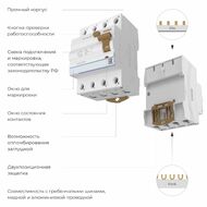 Устройство защитного отключения 3P+N 40 A 30 mА АС 6 kА Werkel W914P406