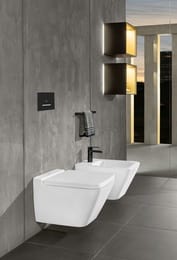 ������ ��������� Villeroy & Boch Finion PLUS (375�560) ��� ������, � �������� 4664R0R1+9M88S1R1