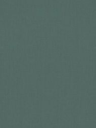 ���� ��������� �� ��������� Rasch Allegretto (0.53x10.05) ���������, �����-������� 690750 (���.)