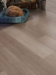 ������� �����-��������� LVT FineFloor Wood (1320x196x2,5) ��� ���� , ����������, 43��., FF-1433  (��.�.)