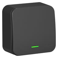 Выключатель Systeme Electric BLANCA 1-клавишный наруж. сх1 подсв. изол.пл. 10А 250В антр BLNVA101116