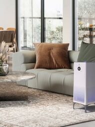 ���������� ������� Electrolux EAP-2075D Yin&Yang, �����, �� 75�2