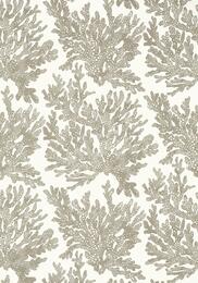 ���� �������� Thibaut Tropics (0,69�8,22) ���������� T10140 (�����)