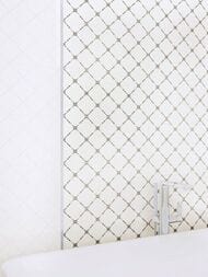 ������ ��������� Alma Ceramica Brenta (249x500) ����� TWU09SVA000 (��.�)
