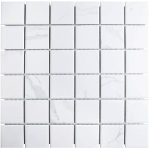 ������� ������������ Starmosaic Homework Carrara Matt 48x48 (306�306�6) ����� PMWB82223 (��.)