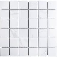 ������� ������������ Starmosaic Homework Carrara Matt 48x48 (306�306�6) ����� PMWB82223 (��.)