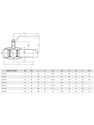 ���� ������� �������� ��������� NAVAL DN 40, PN 40 284158