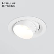 ������������ ������������ ���������� Elektrostandard 9919 LED 10W 4200K , �����