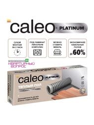 ������ ��� ��������� CALEO PLATINUM 4�2, 230��/�2, 0,5� � 8�, 920��, � ������ ��������������