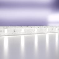 ������������ ����� Maytoni Led Strip 24� 2835 7,2��/� 6000K 5� IP65, �����, 20018