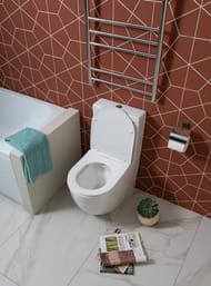 ������-������� Aquanet Cetus 2.0 C1 LX-2903 365�800�620 ������������, �����. ������, �������, �����