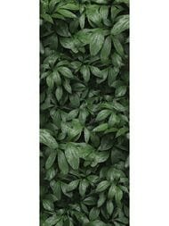 ����������� ������ �lumoart Botanical Garden Flora (1200�3000) �������, ������� �-1.8.1 (��.�.)