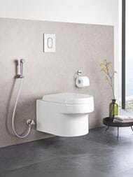 ������ � ��������� ���������� Grohe Tempesta-F Trigger Spray 30 27513001