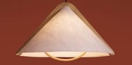 ���������� ���������� Freya Umbra (�����) FR5554CL-01T, 220/240 V, IP20,������