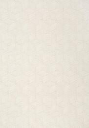 ���� ��������� �� ��������� Thibaut Modern Resource 2 (0,99*8,22) ������� T10416 (�����)