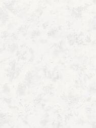 ���� ��������� �� ��������� ������ ������� (1,06�10,05) ����� AR11189-01 (���)