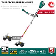������� ����������� ���� ���-365, ��� ���, 36 �, 35/25.5��, ����������� �������