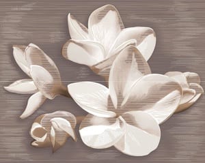 ����� AZORI Amati Plumeria Alba (402�505) ���������� (��.)
