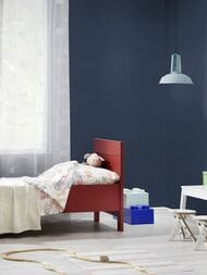 ���� ��������� �� ��������� Rasch Natural Colors (0,53�10,05) �����, ����� 687514 (���.)