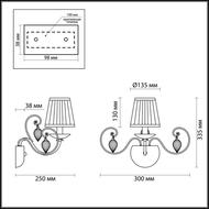 ��� Odeon Light Niagara 3921/1W, ������