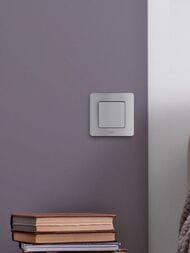 Выключатель LEGRAND INSPIRIA  одноклавишный 10 AX 250 В алюминий 673602