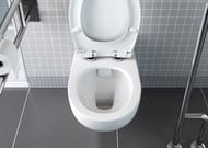 ������ ��������� Vitra Conforma 700�350�460 � ��������,����������. ����.,��� ����� � �����. �������. 5810B003-6234