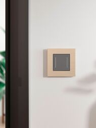 Рамка Werkel на 1 пост AluMax (шампань) W0013511