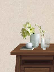 ���� ��������� �� ��������� Erismann Gentle ER12207-02  (1,06�10,05) ������� (���.)