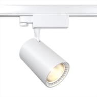 �������� ���������� Maytoni Vuoro (�����) TR029-3-30W4K-W Trinity   4000K  26��, IP20, �����