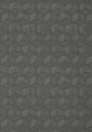 ���� ��������� �� ��������� Thibaut Modern Resource 2 (0,99*8,22) ������ T10425 (�����)