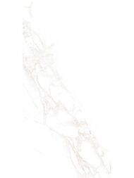 ������ ��������� New Trend ����� (249x500) WT9DOV01 (��.�)
