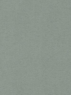 ���� ��������� �� ��������� Rasch Salsa (0,53�10,05) ������� 449846 (���.)